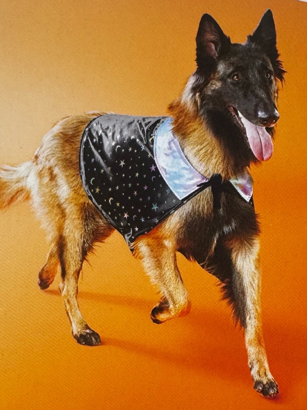 Boots & Barkley Dog Iridescent Purple Starry Cape